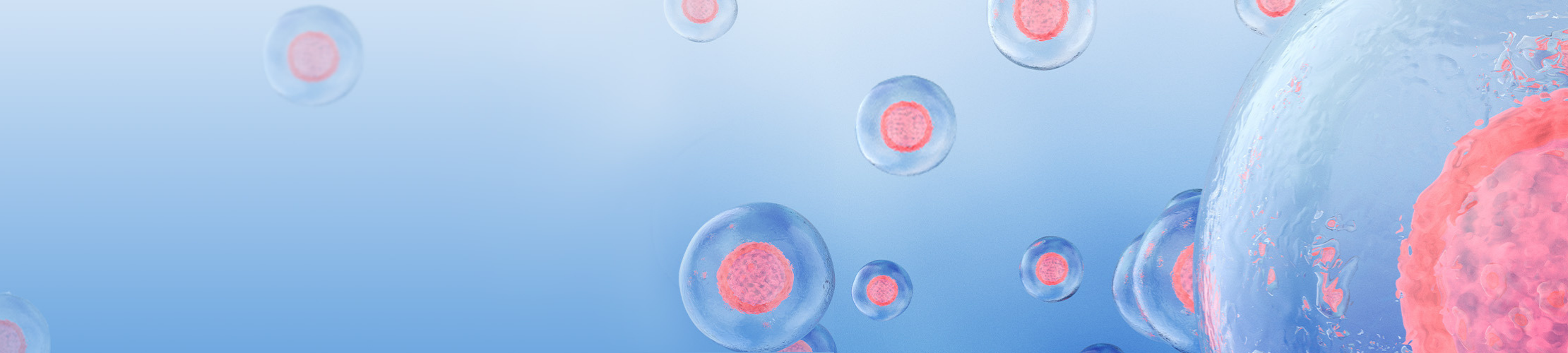 Exosomes in Skin Care: The Communication Advantage